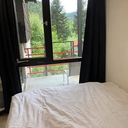 Apartment Kleines Einzimmer-apartment 14