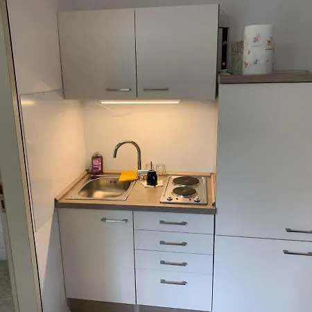 Daire Kleines Einzimmer-apartment 14 Bad Wildbad