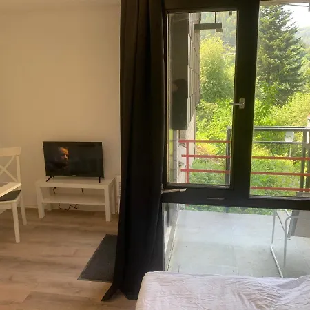 Kleines Einzimmer-apartment 14 *