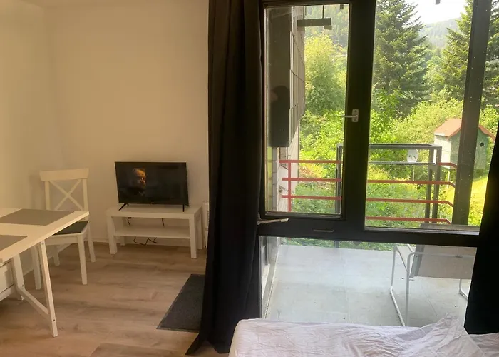 Kleines Einzimmer-apartment 14 *